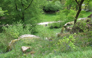 Concours campagne de Clisson 27 avril 2016