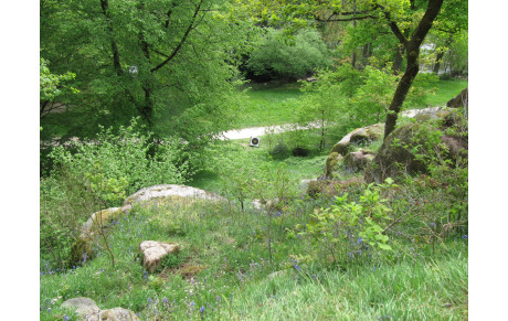 Concours campagne de Clisson 27 avril 2016